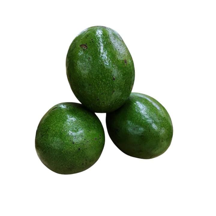 AGUACATE Kg