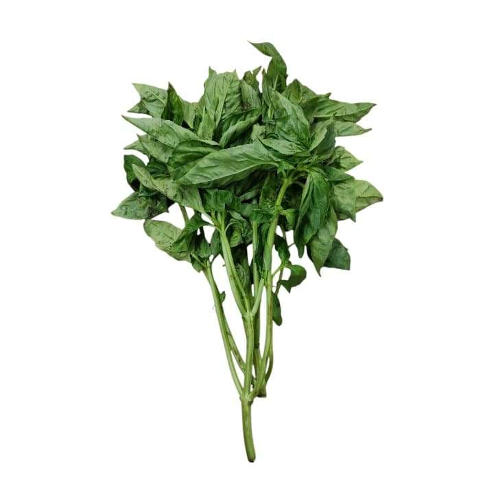 ALBAHACA Kg