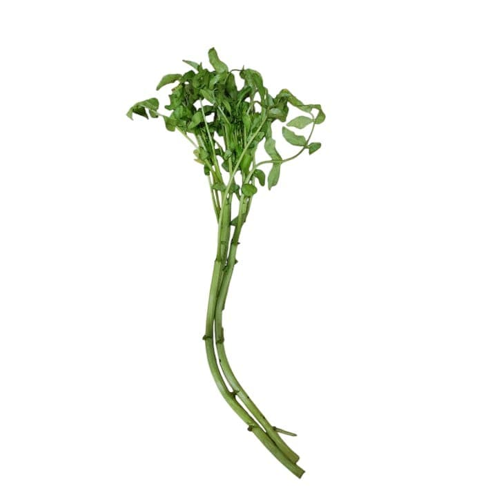 BERROS Kg