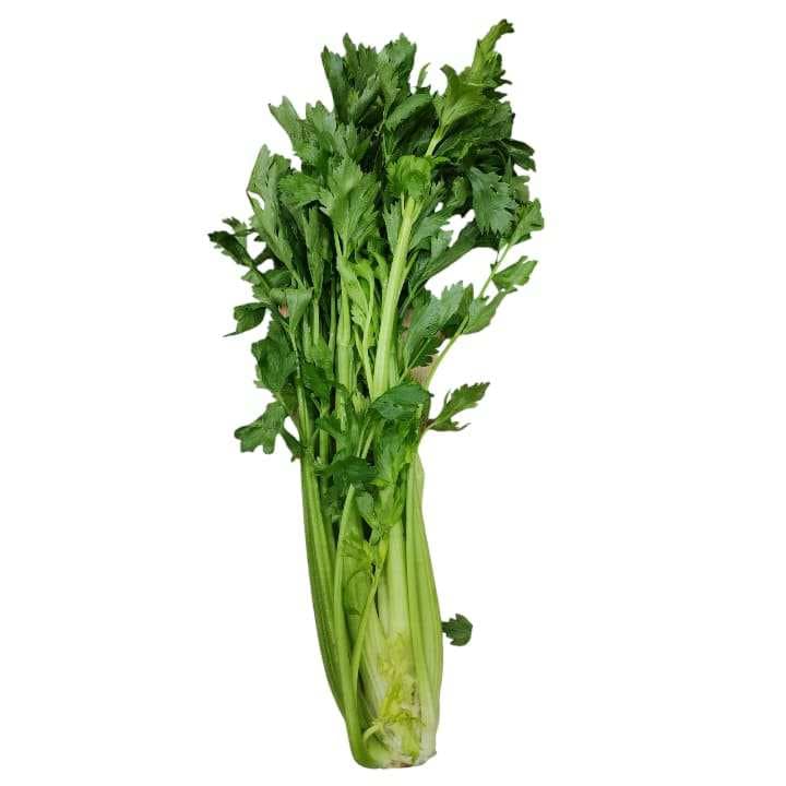 CEDANO Kg