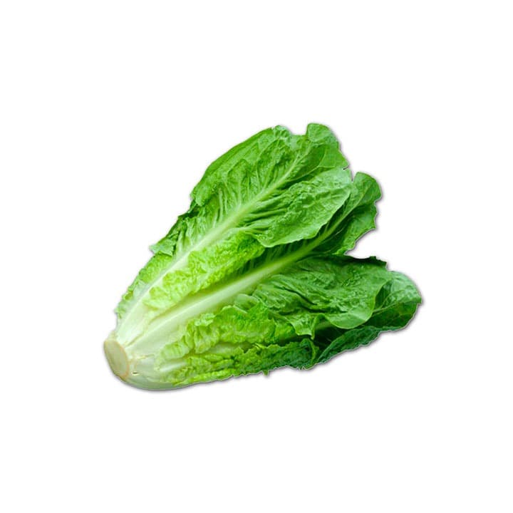 LECHUGA ROMANA Kg - 1