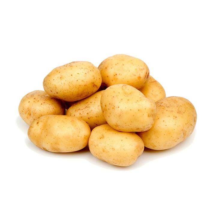 PAPAS Kg