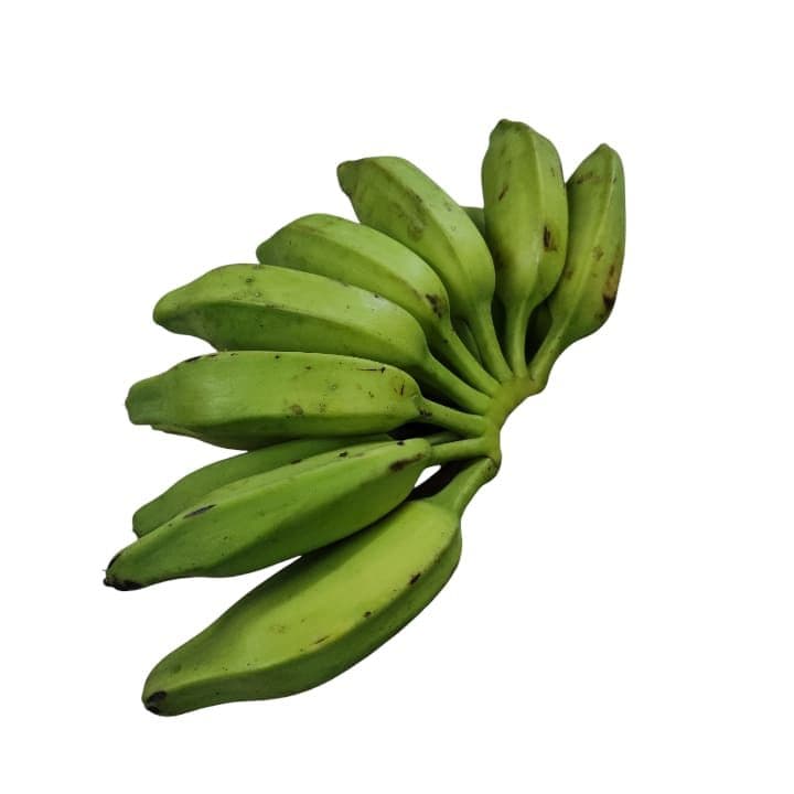 TOPOCHO Kg